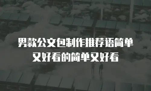 男款公文包制作推荐语简单又好看的简单又好看