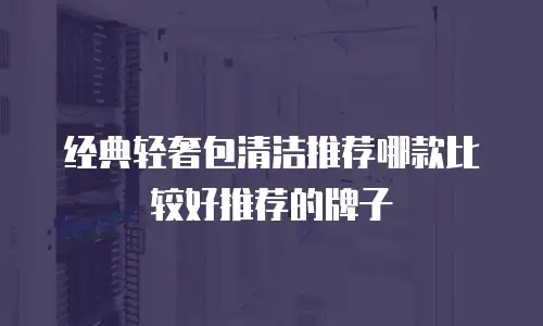 经典轻奢包清洁推荐哪款比较好推荐的牌子