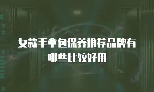 女款手拿包保养推荐品牌有哪些比较好用