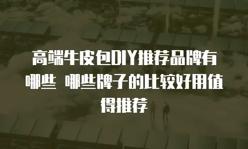 高端牛皮包DIY推荐品牌有哪些 哪些牌子的比较好用值得推荐