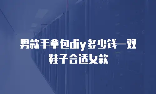 男款手拿包diy多少钱一双鞋子合适女款