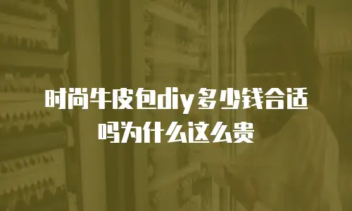 时尚牛皮包diy多少钱合适吗为什么这么贵