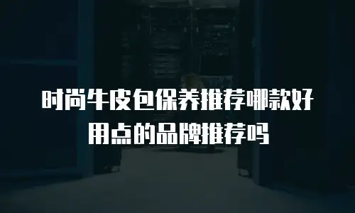 时尚牛皮包保养推荐哪款好用点的品牌推荐吗
