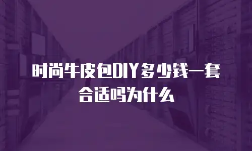时尚牛皮包DIY多少钱一套合适吗为什么