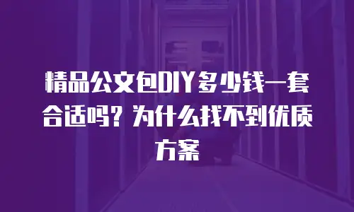 精品公文包DIY多少钱一套合适吗？为什么找不到优质方案