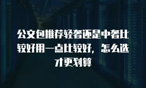 公文包推荐轻奢还是中奢比较好用一点比较好，怎么选才更划算
