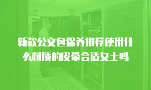 新款公文包保养推荐使用什么材质的皮带合适女士吗