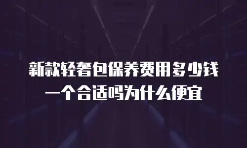 新款轻奢包保养费用多少钱一个合适吗为什么便宜