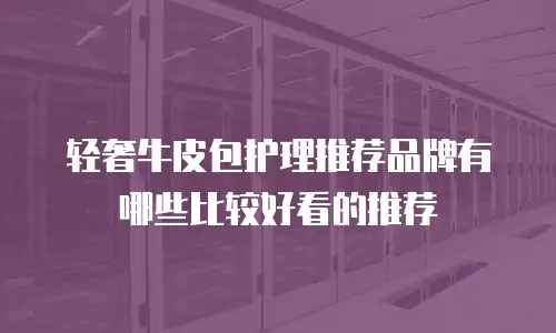轻奢牛皮包护理推荐品牌有哪些比较好看的推荐
