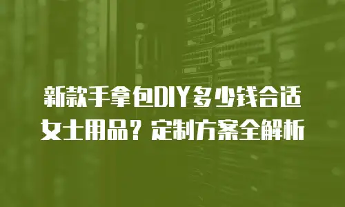 新款手拿包DIY多少钱合适女士用品？定制方案全解析