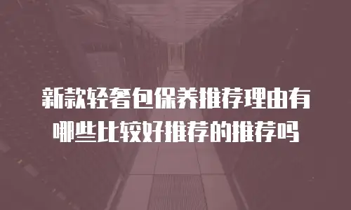 新款轻奢包保养推荐理由有哪些比较好推荐的推荐吗