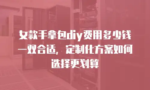 女款手拿包diy费用多少钱一双合适，定制化方案如何选择更划算