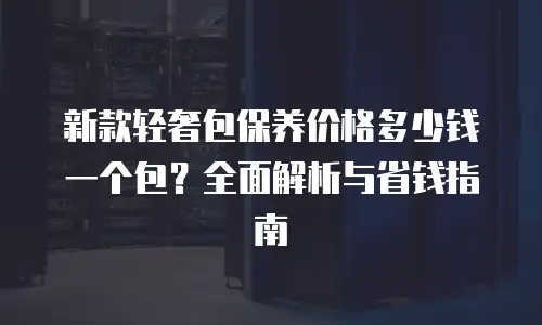 新款轻奢包保养价格多少钱一个包？全面解析与省钱指南