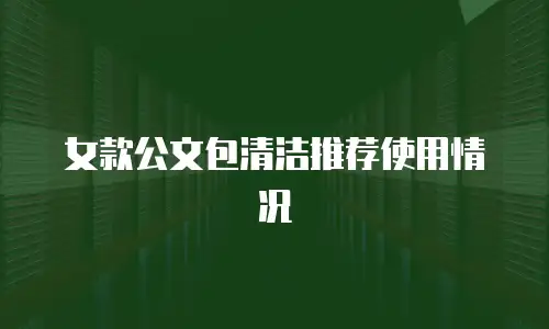 女款公文包清洁推荐使用情况