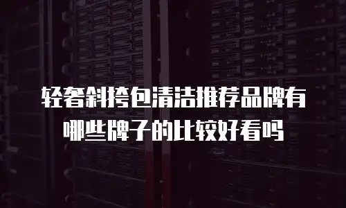 轻奢斜挎包清洁推荐品牌有哪些牌子的比较好看吗