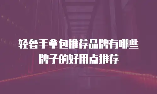 轻奢手拿包推荐品牌有哪些牌子的好用点推荐