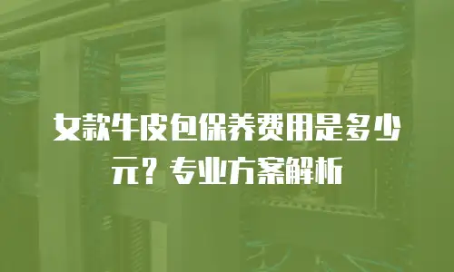 女款牛皮包保养费用是多少元？专业方案解析