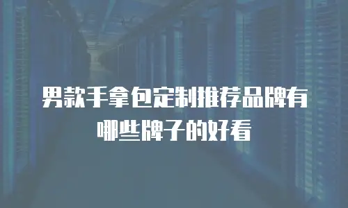 男款手拿包定制推荐品牌有哪些牌子的好看