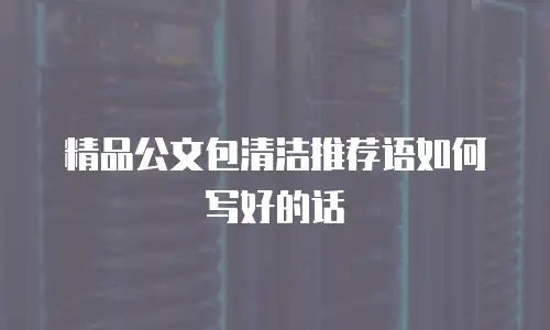 精品公文包清洁推荐语如何写好的话