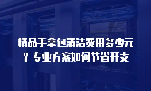 精品手拿包清洁费用多少元？专业方案如何节省开支