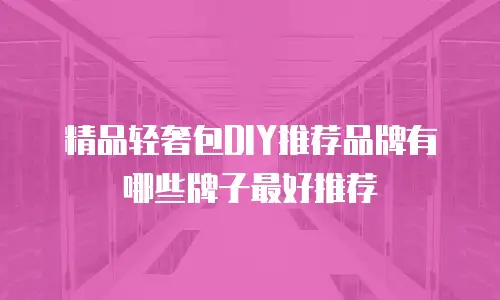 精品轻奢包DIY推荐品牌有哪些牌子最好推荐