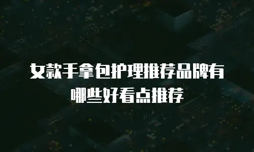 女款手拿包护理推荐品牌有哪些好看点推荐