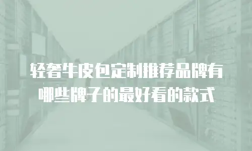 轻奢牛皮包定制推荐品牌有哪些牌子的最好看的款式