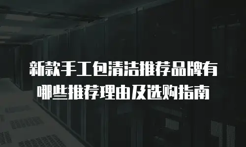 新款手工包清洁推荐品牌有哪些推荐理由及选购指南