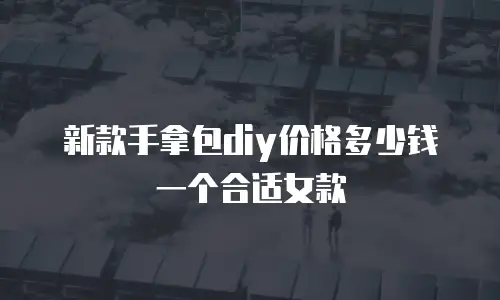 新款手拿包diy价格多少钱一个合适女款