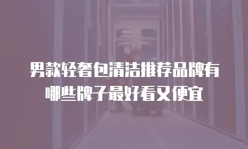 男款轻奢包清洁推荐品牌有哪些牌子最好看又便宜