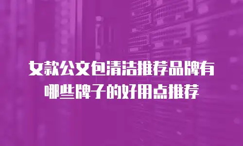 女款公文包清洁推荐品牌有哪些牌子的好用点推荐