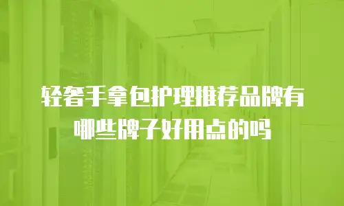 轻奢手拿包护理推荐品牌有哪些牌子好用点的吗