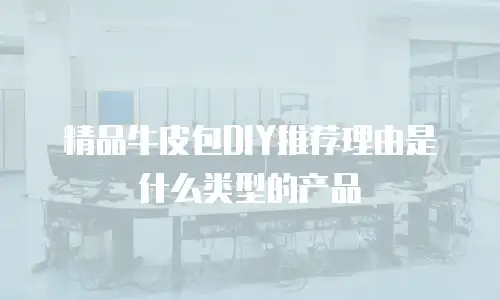 精品牛皮包DIY推荐理由是什么类型的产品