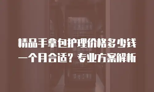 精品手拿包护理价格多少钱一个月合适？专业方案解析