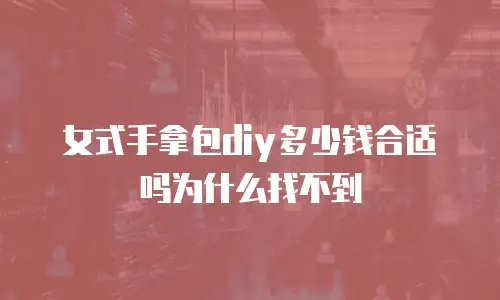 女式手拿包diy多少钱合适吗为什么找不到