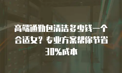 高端通勤包清洁多少钱一个合适女？专业方案帮你节省30%成本