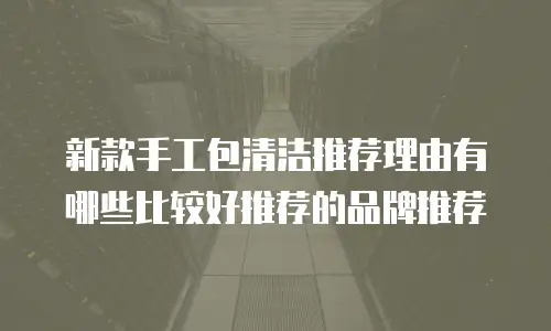 新款手工包清洁推荐理由有哪些比较好推荐的品牌推荐
