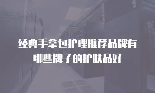 经典手拿包护理推荐品牌有哪些牌子的护肤品好