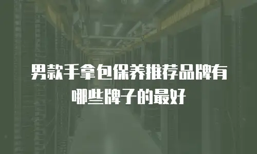 男款手拿包保养推荐品牌有哪些牌子的最好