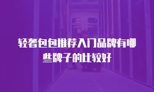 轻奢包包推荐入门品牌有哪些牌子的比较好