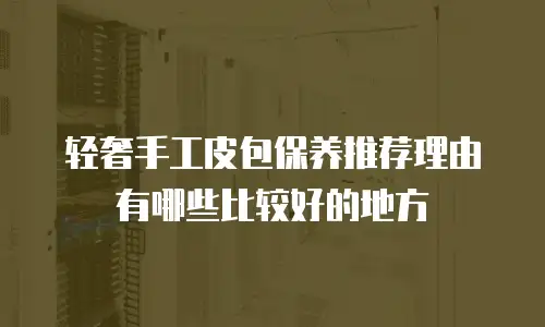 轻奢手工皮包保养推荐理由有哪些比较好的地方