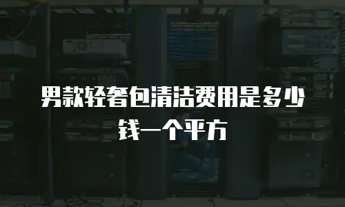 男款轻奢包清洁费用是多少钱一个平方