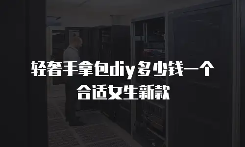 轻奢手拿包diy多少钱一个合适女生新款