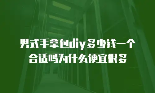 男式手拿包diy多少钱一个合适吗为什么便宜很多