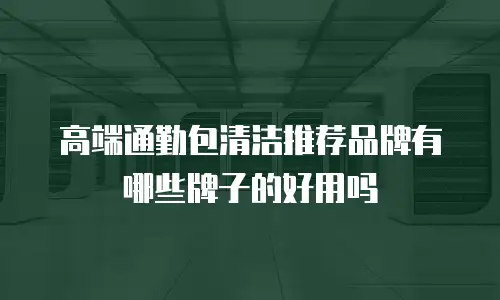 高端通勤包清洁推荐品牌有哪些牌子的好用吗