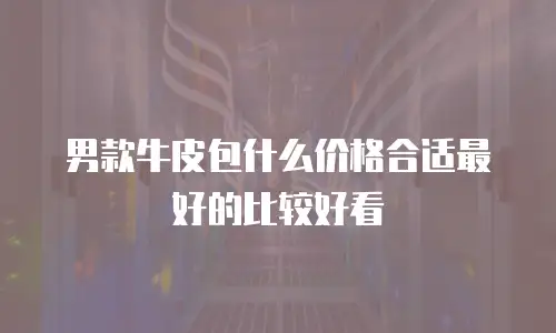 男款牛皮包什么价格合适最好的比较好看