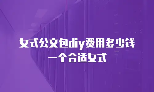 女式公文包diy费用多少钱一个合适女式