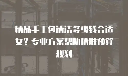 精品手工包清洁多少钱合适女？专业方案帮助精准预算规划