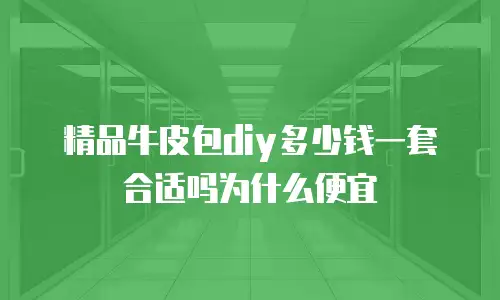 精品牛皮包diy多少钱一套合适吗为什么便宜