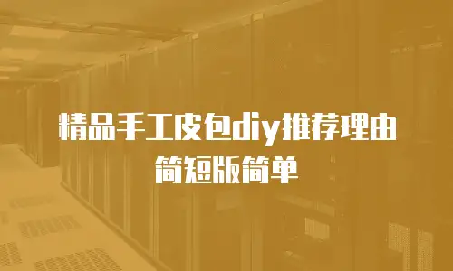 精品手工皮包diy推荐理由简短版简单